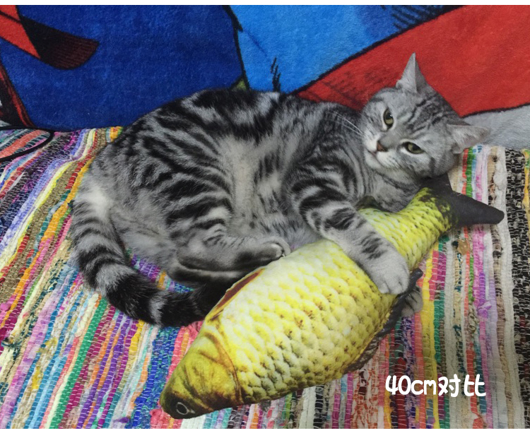 Mèo đồ chơi catnip vui mèo đồ chơi cá mèo gối cỏ cá pháp luật chiến đấu chó sang trọng mèo cá đồ chơi do choi cho cho