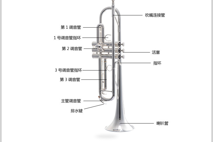 Trumpet instrument in B flat trumpet instrument Yamaha Beginner's Choice 4335S