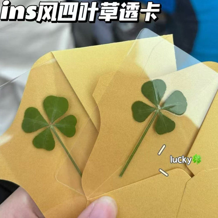 高颜值爆款四叶草标本装饰透卡ins风卡片书签装饰博主同款素材