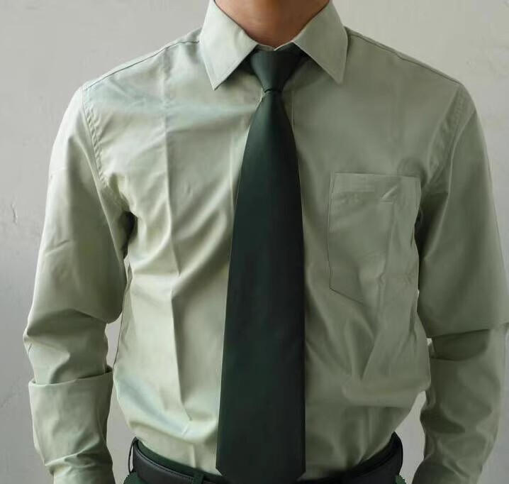 No-Iron Long-Sleeved Casual Light Green Undershirt for Spring and Autumn, Long-Sleeved Light Green Undershirt Shirt, Quick-Drying