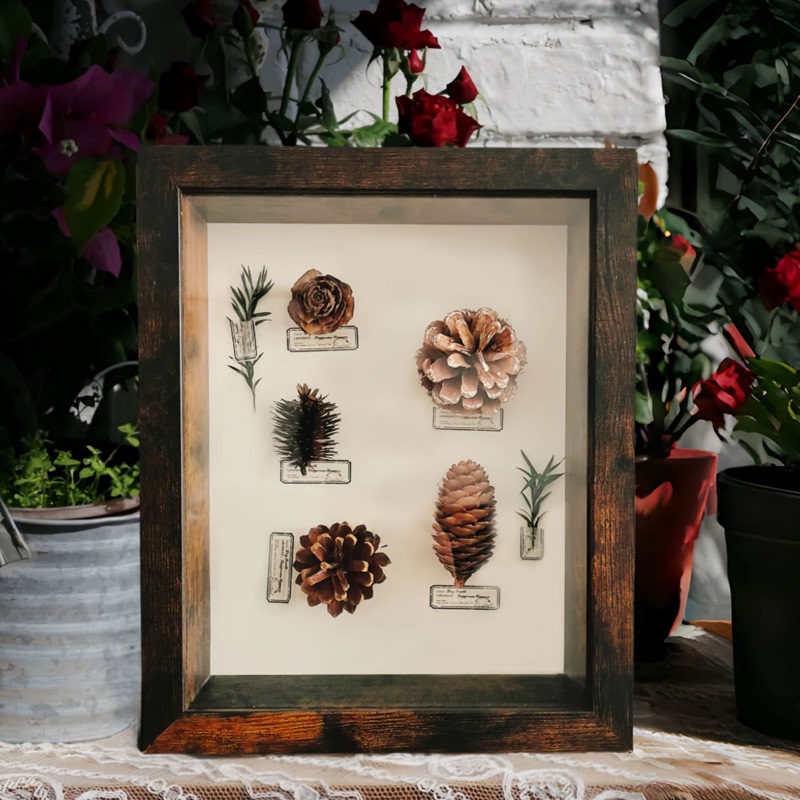 Vintage Glass Photo Frame, Three-Dimensional Hollow 5cm High-End Butterfly DIY Specimen Display Frame, Picture Frame for Tabletop or Wall Hanging