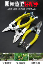 Fruit picking round head scissors citrus artifact stainless steel fruit picking scissors picking scissors flat head scissors steel
