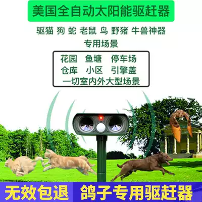 Balcony silent drive pigeon artifact