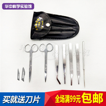 Anatomy quadrugically seven pieces of 7 pieces 7 sets of biological anatomical tool specimens to make scissors Anatomy needle surgical knife tweezers
