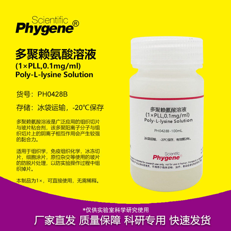 多聚赖氨酸溶液 (1&times;) 多聚-L-赖氨酸 切片玻片包被液粘合剂 50mL