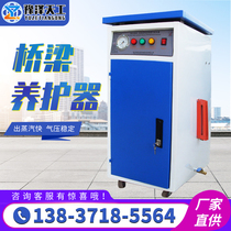 Bridge steam maintenance device Automatic steam generator Fuel boiler Electric heating concrete precast health machine