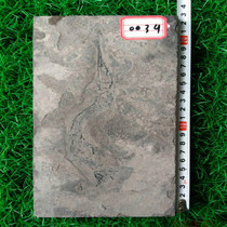 Natural Ming Boutique Arowana