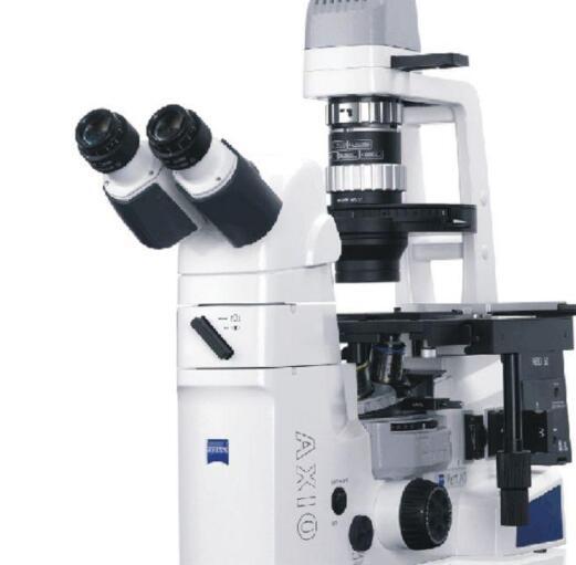 Zeiss蔡司Axio Vert.A1倒置生物显微镜总