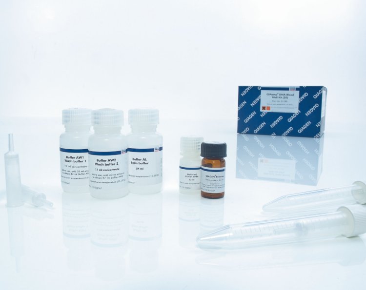 Qiagen 51185 血液基因组DNA中提试剂盒，qiagen一级