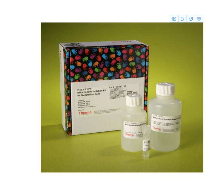 THERMO赛默飞89874线粒体分离试剂盒Mitochondria Isolation Kit