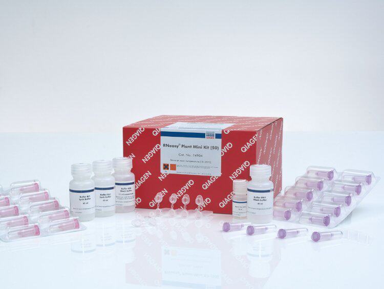 Qiagen 76104|RNAlater组织样品RNA稳定液rna Stabilization Reag