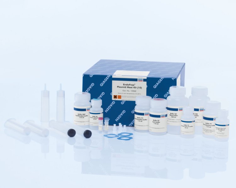 Qiagen去内毒素质粒大提试剂盒12362凯杰EndoFree Plasmid Maxi K