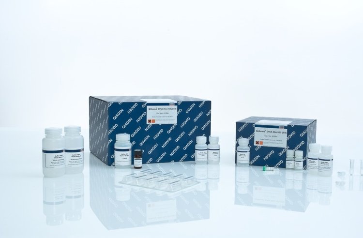 Qiagen 51304 基因组DNA小提试剂盒QIAamp DNA Mini Kit