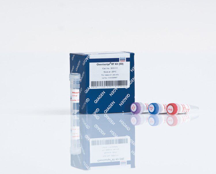 Qiagen 205311反转录试剂盒QuantiTect Rev.Transcription Kit