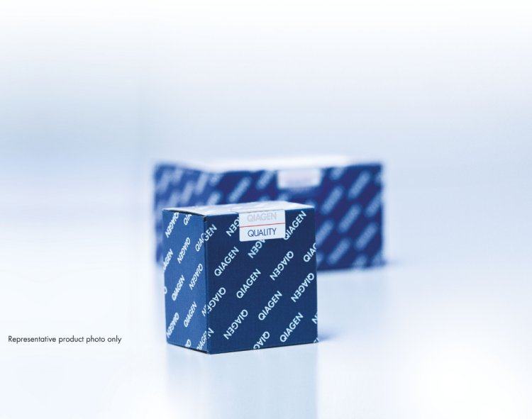 Qiagen 203203|聚合酶HotStarTaq DNA Polymerase (250 U)