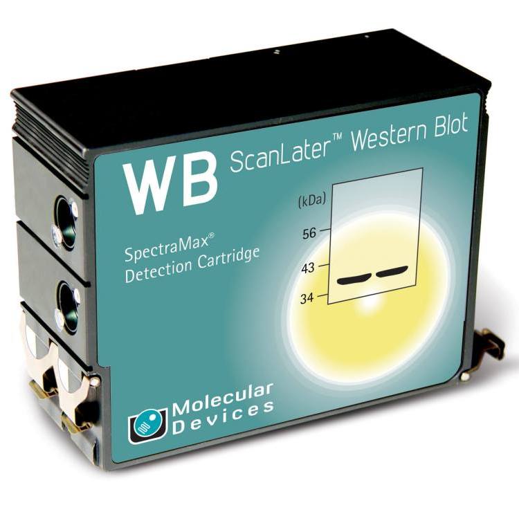 美谷分子 操作简便、检测灵敏 Scanlater Western Blot系统