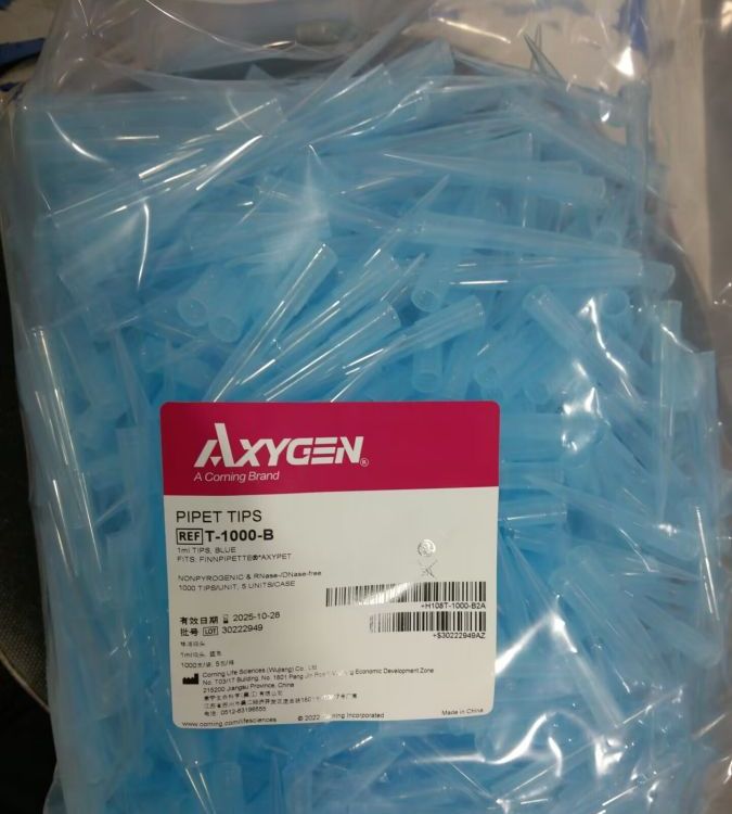 axygen爱思进TF-1000 1000ul袋装透明滤芯吸头