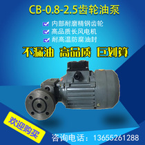 The ZCB rotor oil pump reducer dedicated CB-1 2 0 8 of the rotor oil pump motor cb-1 bb