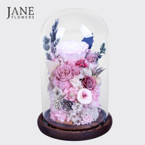 JANE imported eternal flower glass cover rose dried flower ornaments Valentines Day Christmas gift for his girlfriends wife