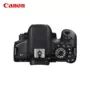 [Cửa hàng được ủy quyền] Canon Canon DSLR sê-ri EOS 750D độc lập - SLR kỹ thuật số chuyên nghiệp máy ảnh giá rẻ dưới 1 triệu