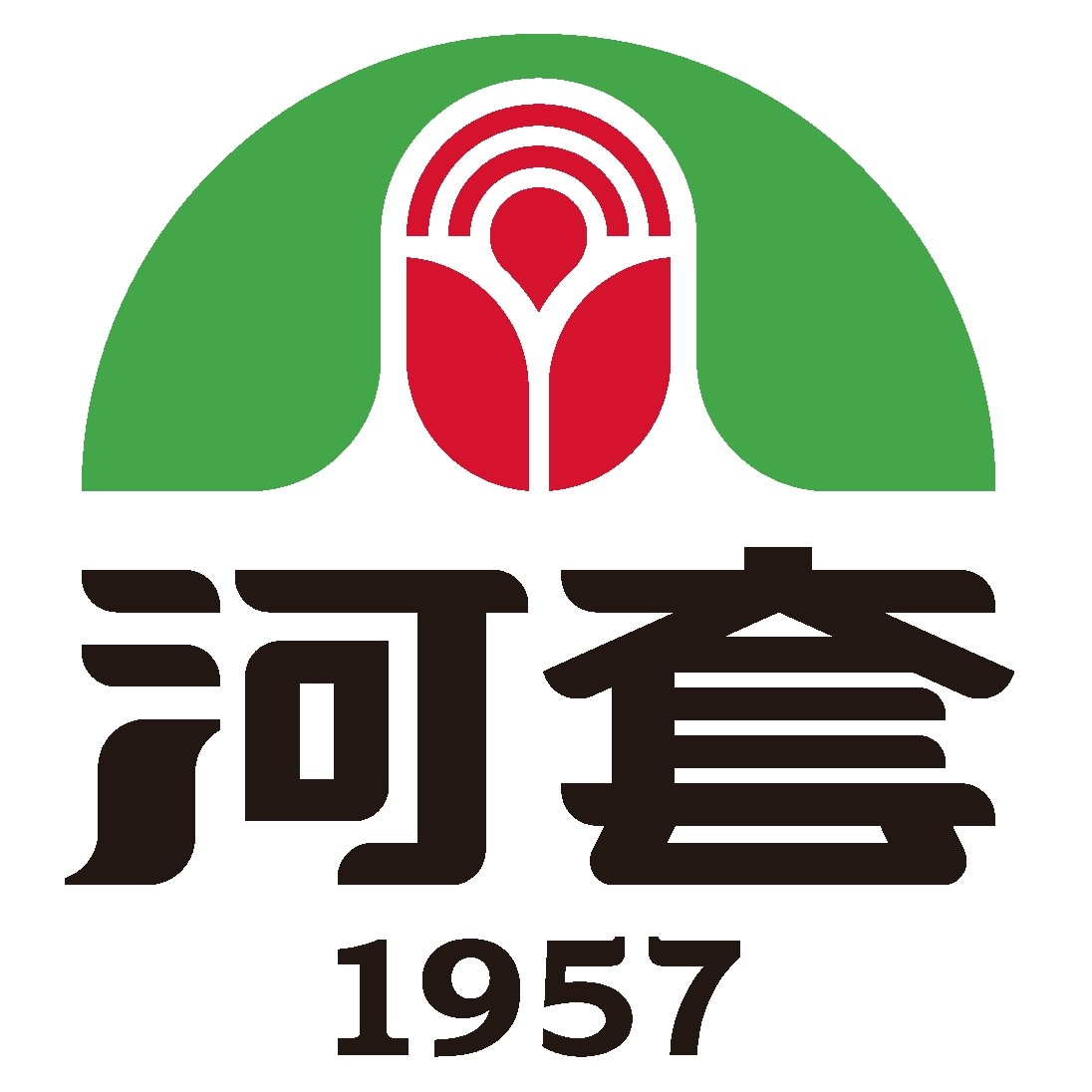 河套旗舰的LOGO