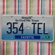 American License Plate KentuckyKY Kentucky 354TEL Collection Antique Fun Road Culture Bar Decoration