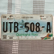 Mexico Card-QUIN-Quintana Roo-UTB-508-A-Bar Decoration Collection Murals Cottages