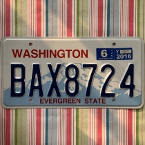 U.S. License Plate WashingtonWA Washington State BAX8724 Foreign License Wrangler Retro Props
