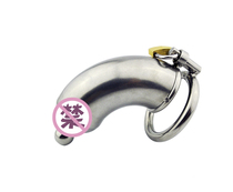 Prison bird metal CB6000 stainless steel male chastity lock stainless steel bird cage anti-masturbation cage anti-derailment