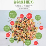 Зерновые фрукты хомяка, фрукты, кормление, пищевое питание мыши Главное зерно, золотой шелковый медвежь