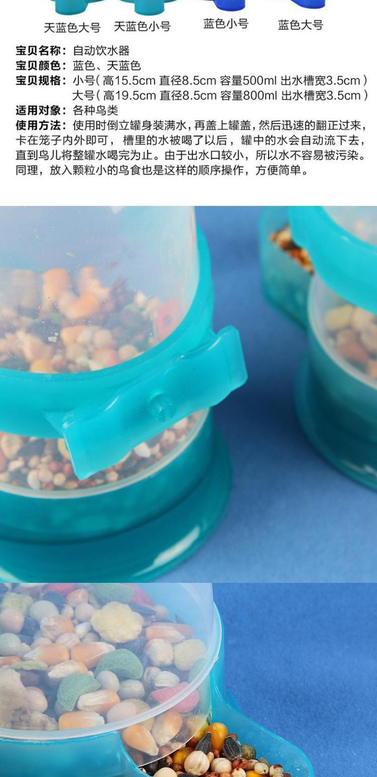 Pigeon Uống tự động cho ăn Ấm đun nước Thư Dove Cung cấp Parrot Trung chuyển Khay thức ăn cho chim Khay - Chim & Chăm sóc chim Supplies lồng chào mào đẹp