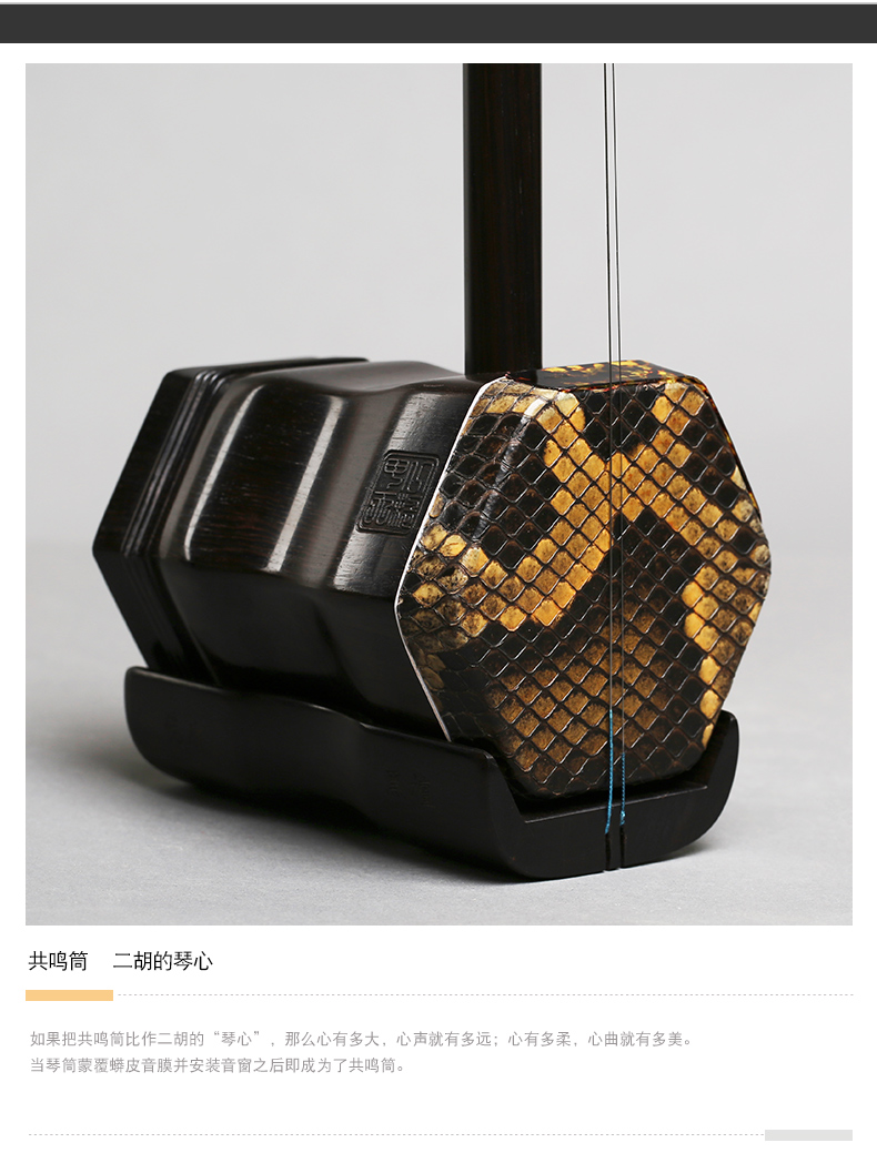 Bắc Kinh Xinghai Erhu Nhạc cụ Chất lượng cao Ebony Erhu Cấp Đông Ebony Chuyên nghiệp Erhu 8726-A - Nhạc cụ dân tộc saotruc maomeo