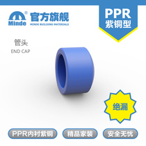 minde export ppr accessories pipe cap plug to the water pipe Foundation hydropower home decoration water leakage 4 points 6 points