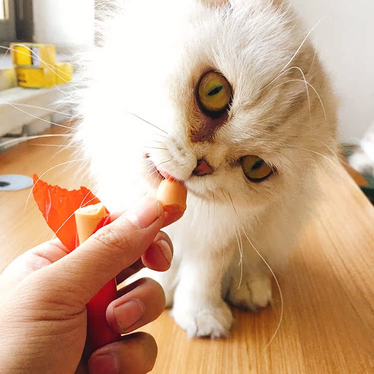 Manduri dog snack gà ham xúc xích 30 Teddy huấn luyện vật nuôi xúc xích chó mèo ăn nhẹ thức ăn smartheart