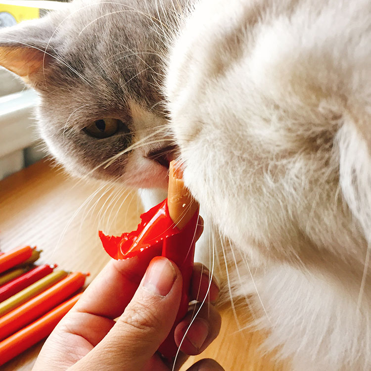 Manduri dog snack gà ham xúc xích 30 Teddy huấn luyện vật nuôi xúc xích chó mèo ăn nhẹ thức ăn smartheart