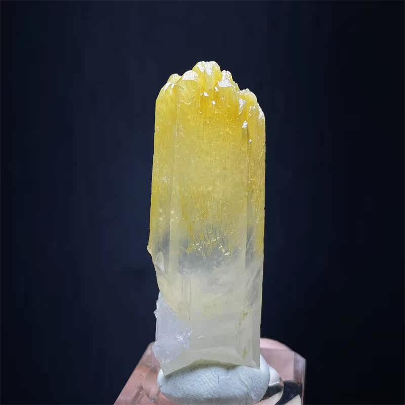 /