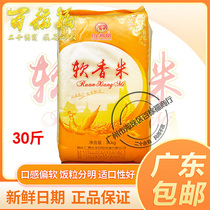 Golden Phoenix Soft Fragrant Rice 15KG Long Grain of Late Grain Rice New Rice Rice 30 Catty South Evening Rice Cantonese