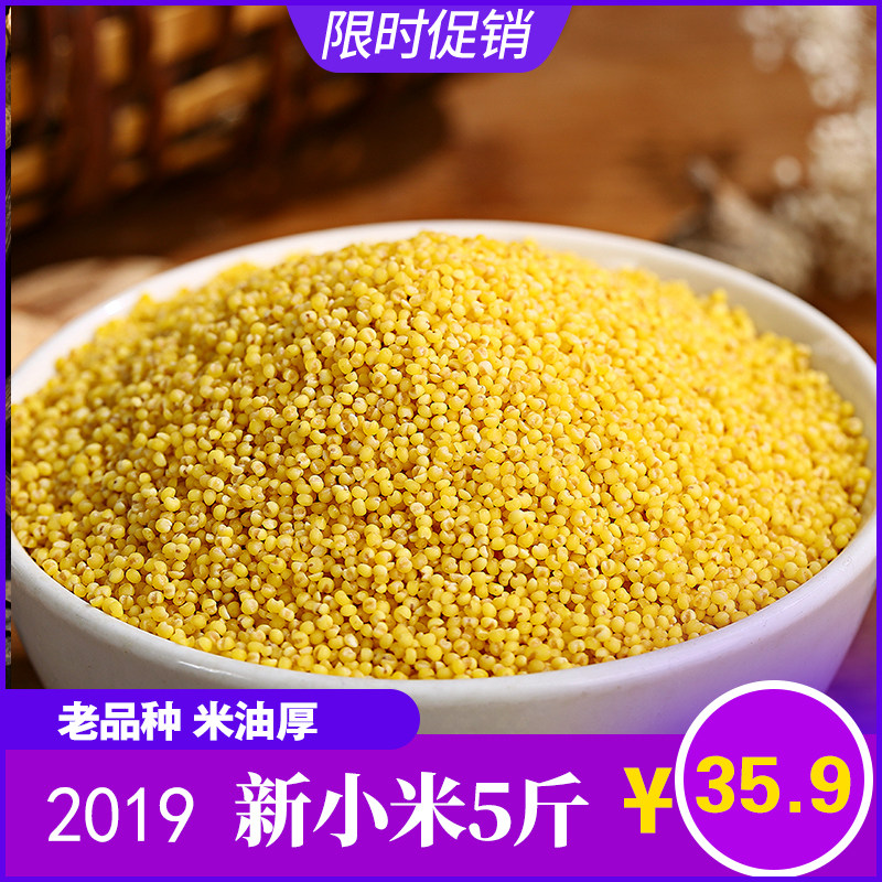 Chaoyang small rice fat yellow millet 2021 new rice small yellow rice super northeast miscellaneous grain rice fat yellow millet 5kg