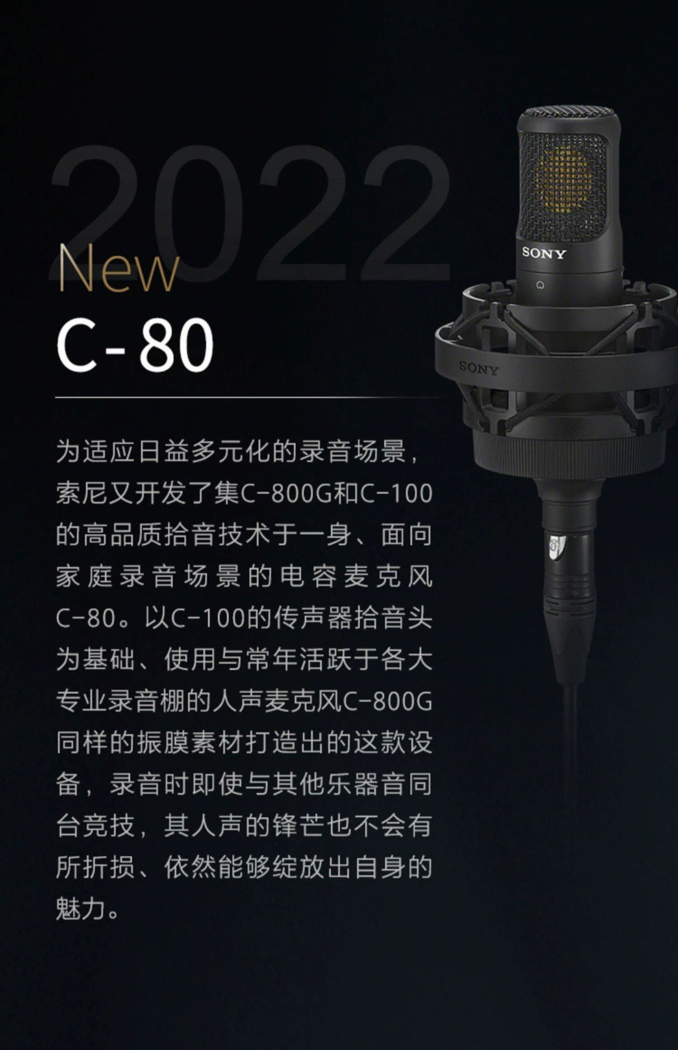 Sony/索尼C-80/100插图25