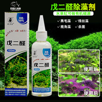 Glutaraldehyde fish tank algaecide water grass organic carbon source aquarium grass tank 52 aldehyde removal of black hair algae green silk algae antler