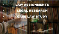 Online 1v1 tutoring for international students’ law studies