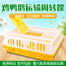 Transport chicken cage thickened chicken turnover box extra large turnover basket duck goose pigeon cage household Chicken Basket plastic chicken cage