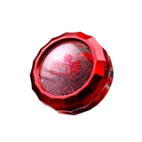 Папа рецензирует Saffron Western Region