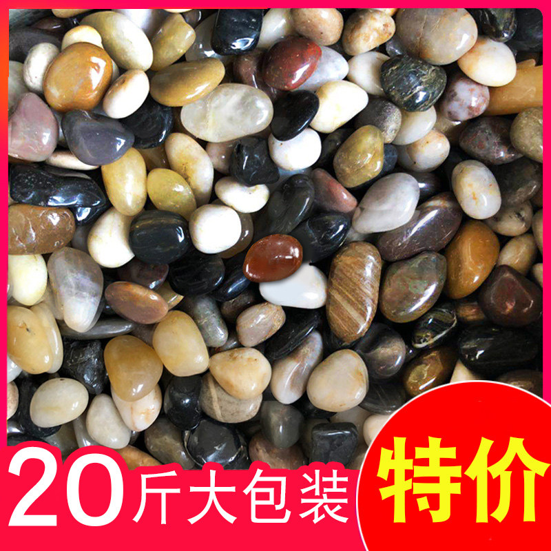 Rain Flowers Stones Original Stone Natural Goose Pebble Stone White Pebble Fish Tank Potted Multi Meat Small Stone Goose Warm Stone Flower Pot