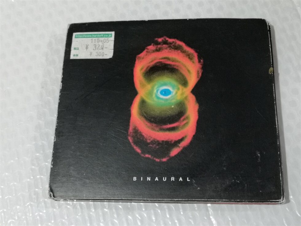 Разрушение бинауральной группы Pearl Jam от Pearl Jam Изображение 1