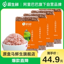 Taoxiang sweet Yuanyang red rice Yunnan rice coarse grains five grains grains left embryo red rice 500g*4 Hani terrace brown rice
