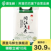 Tongjiang rice pearl rice 5kg Northeast rice Heilongjiang rice vacuum japonica rice special Ali self-operated