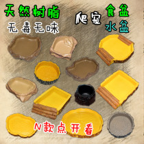 Reptile food basin Water basin Turtle drinking basin Lizard food basin Turtle food basin Climbing pet bubble resin