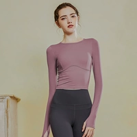 5146 Хайву Пурпур