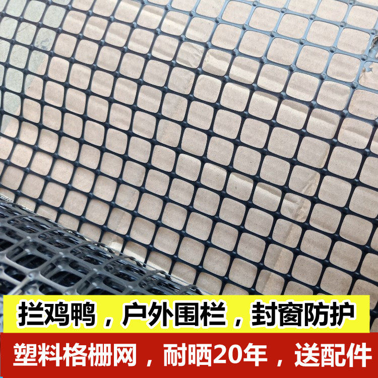 Black plastic mesh window anti-cat mesh anti-crash mesh plastic mesh farming fence fence network
